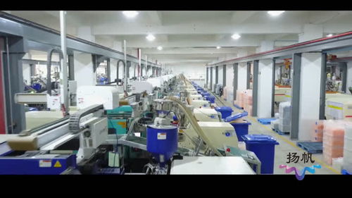生態科技新城 組建專班精準服務，扶持企業做大做強信息技術咨詢服務