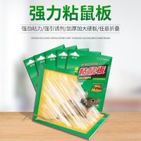粘鼠板選購全攻略 從排行榜、價格到使用技巧，一篇搞定